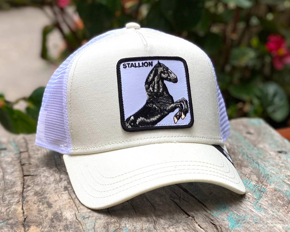 Stallion 