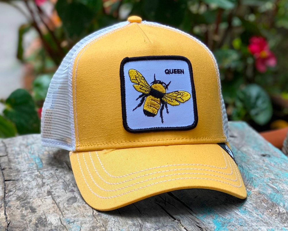 Queen Amarillo