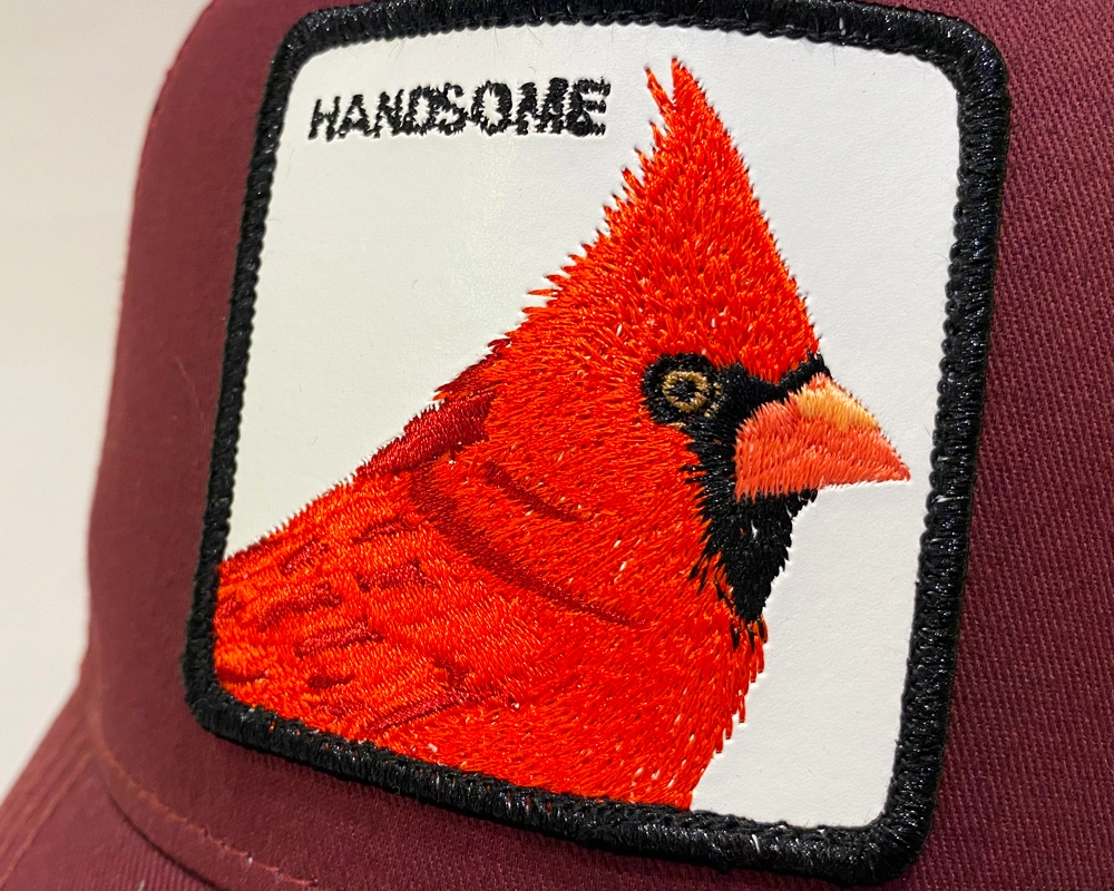 HANDOME