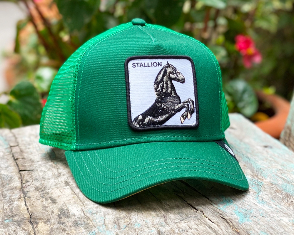 Stallion verde