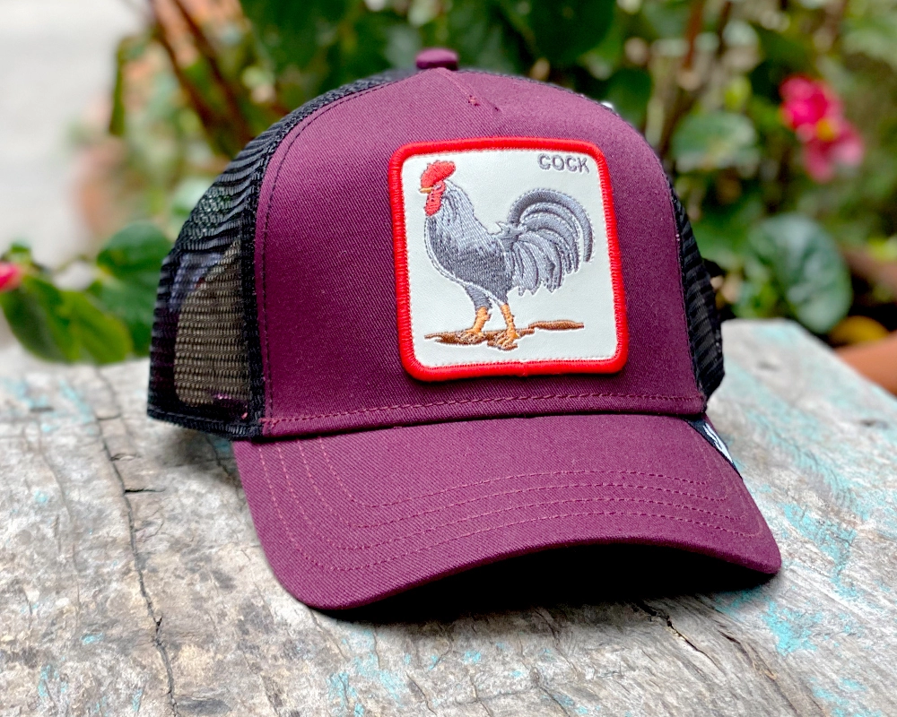 Cock Guinda-Negro